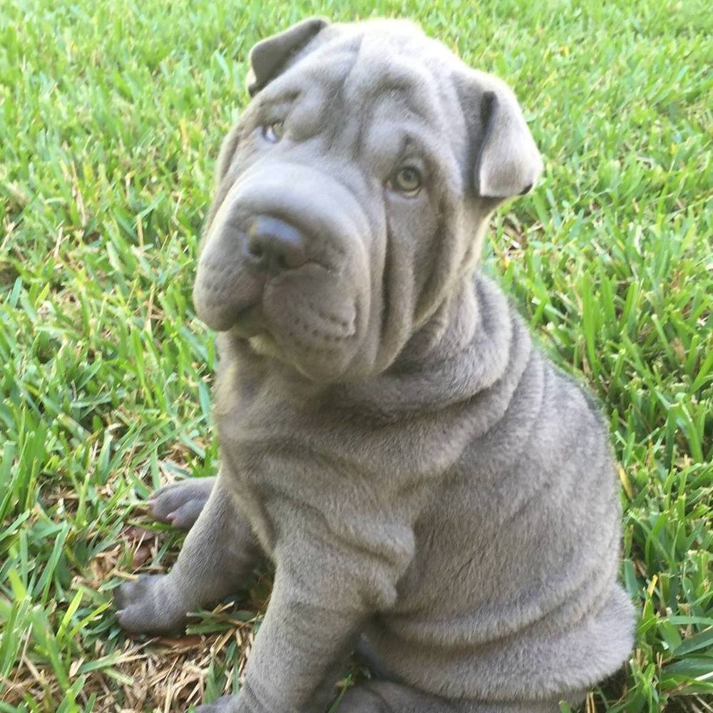 Meet your Posher, Jen